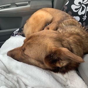 Meet your Posher, Nicolette